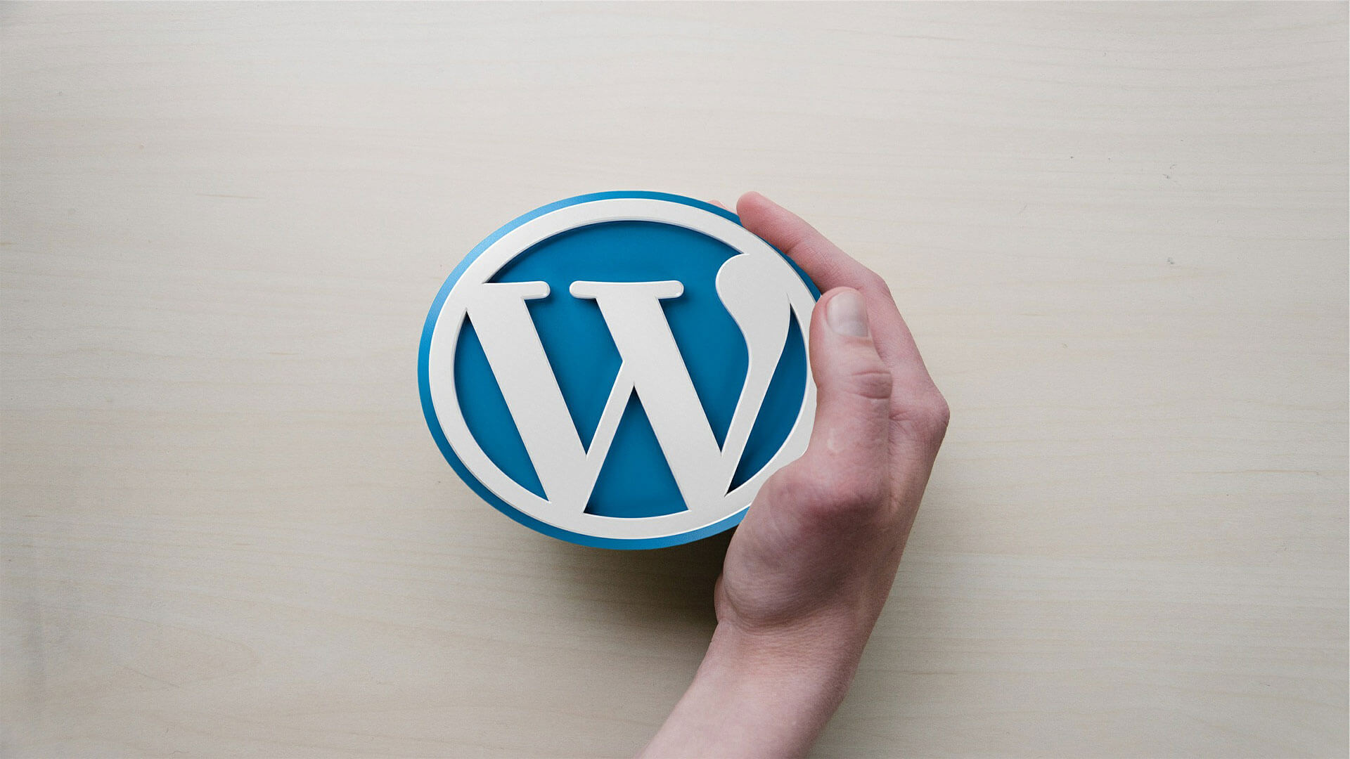WordPress Update