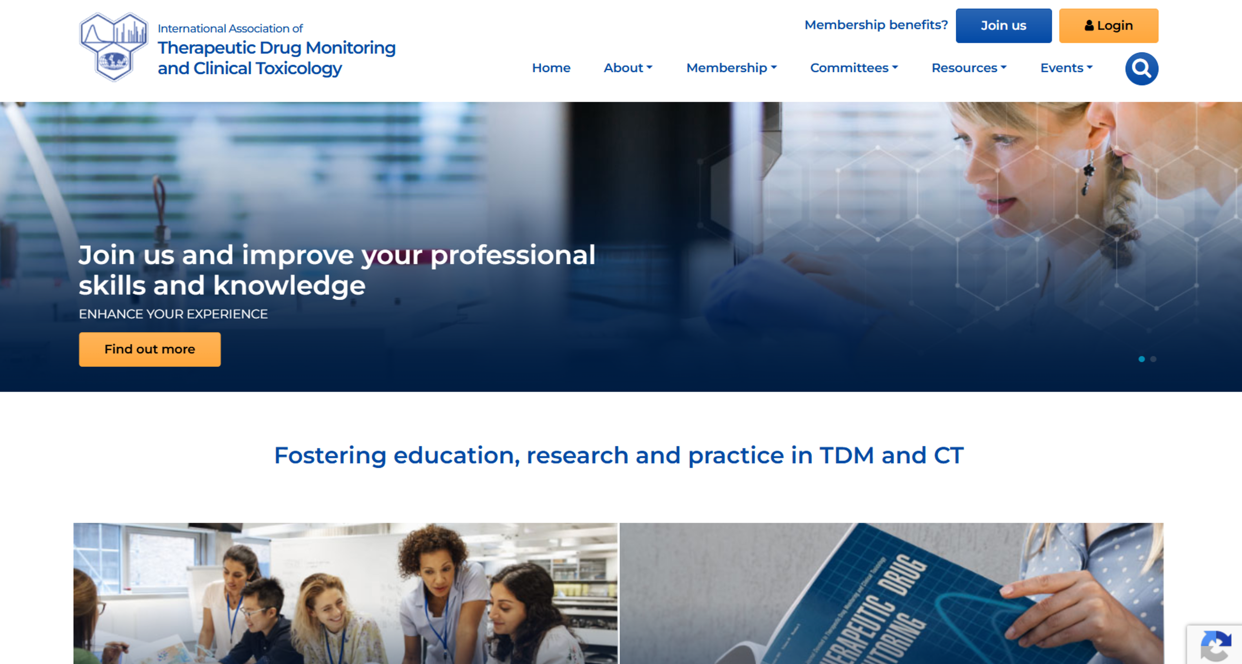 Screenshot of IATDMCT website