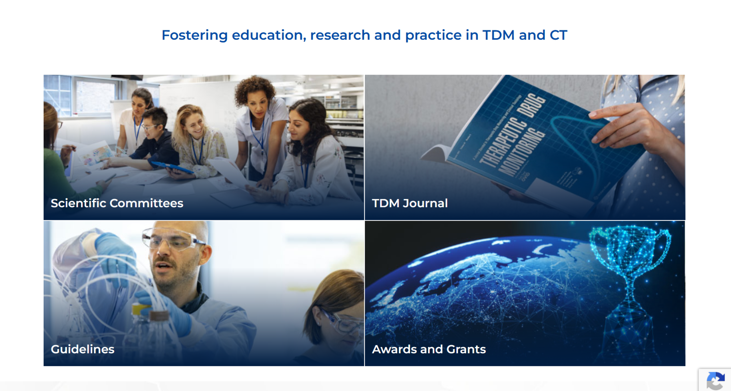 Screenshot of IATDMCT website